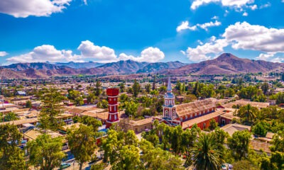 vicuña