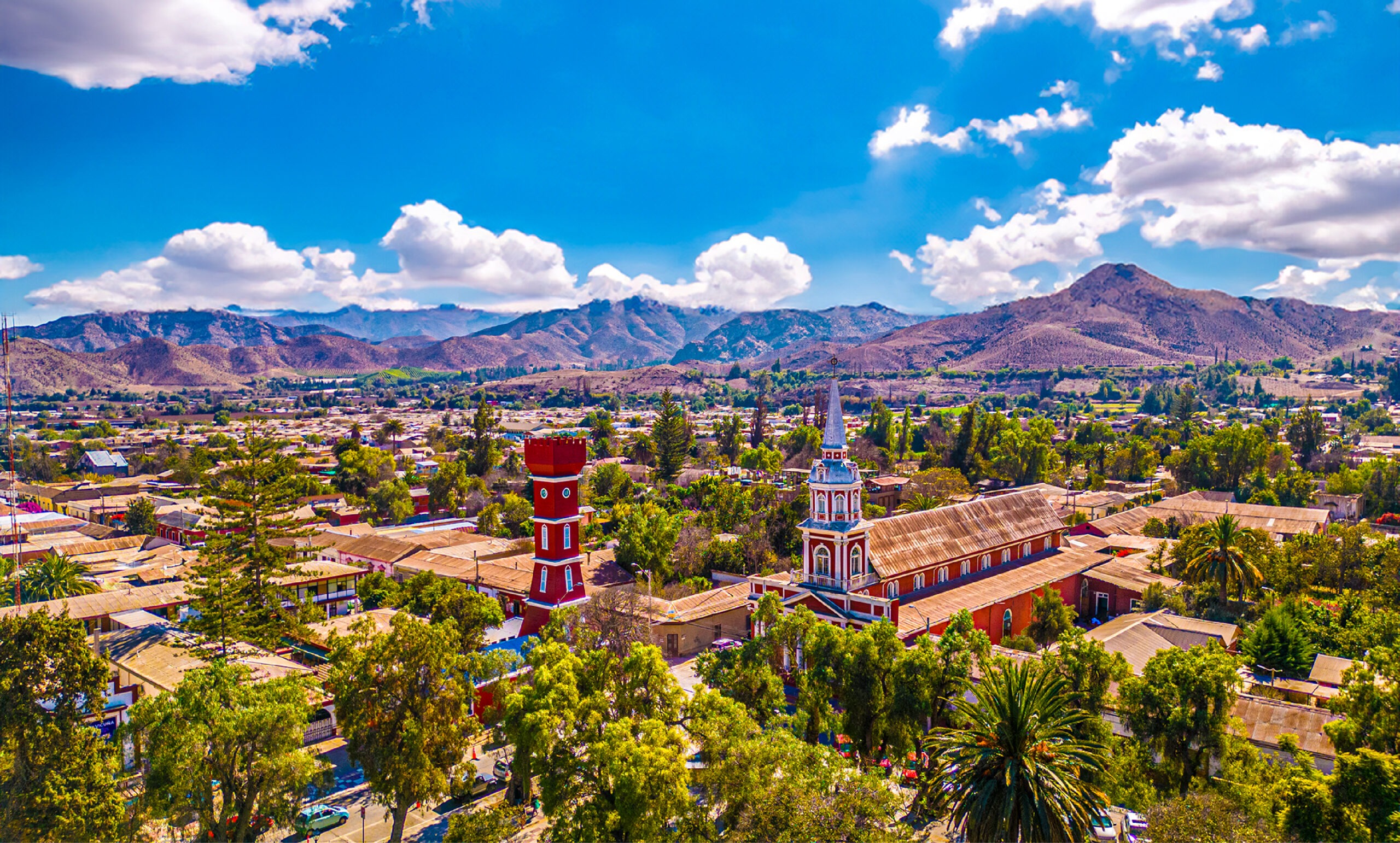 vicuña