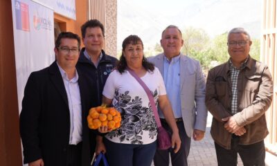 ecomercado